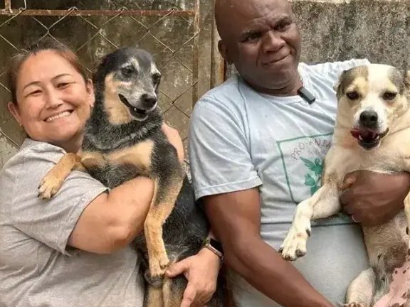 Protetores da Siulsan Resgate com cães recuperados